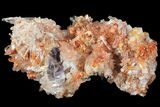 Orange Creedite Crystal Cluster - Durango, Mexico #99175-1